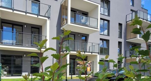 Strzelecka 55